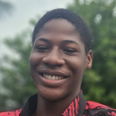 Nwachukwu E. - Freelance Ux Designer