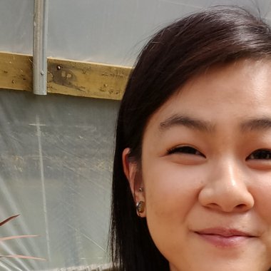 Carmen M. - Freelance Illustrator