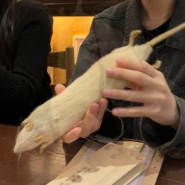 DDust - Freelance Book Illustrator