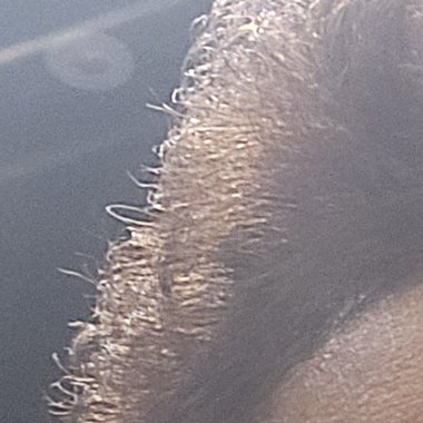 Donna N. - Freelance Vocalist