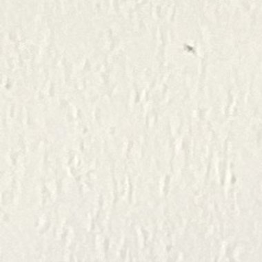 Faith C. - Freelance Data Scientist