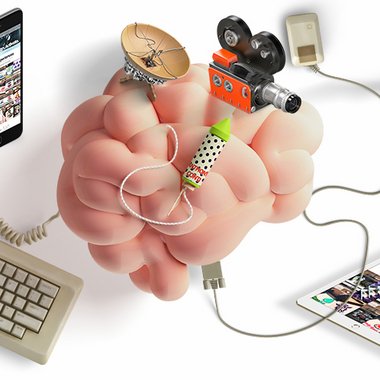 Anthony C. - Freelance Designer