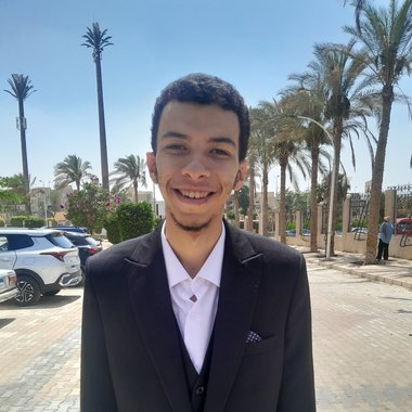 Abdelsalam M. - Freelance Database Developer