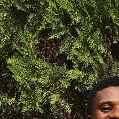 Ayomide S. - Freelance Digital Marketer