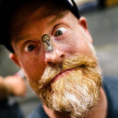 Hank P. - Freelance Web Developer