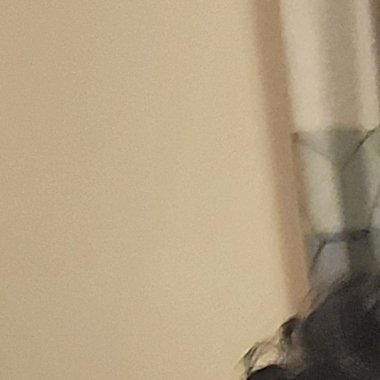 SandipMithu - Freelance Music Composer