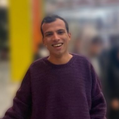 Tarek S. - Freelance Web Developer