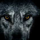 Federico Rodriguez Barroso