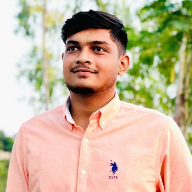 Ridham G. - Freelance Data Visualizer