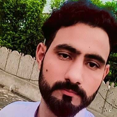 shaanu - Freelance Web Designer