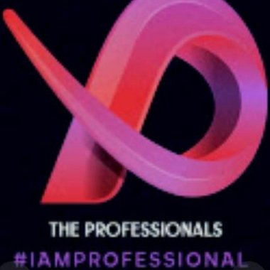 PROFESSIONAL - Freelance Web Designer