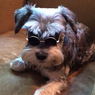 Andrew C. - Freelance Developer