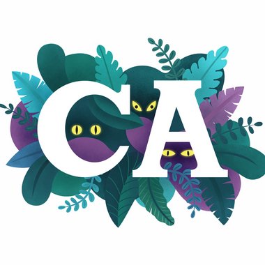 Carrie-Anne B. - Freelance Vector Illustrator