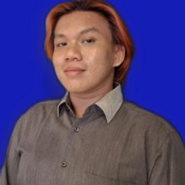 Amel G. - Freelance Database Developer