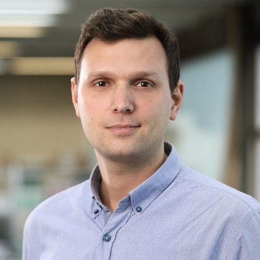 Nikola S. - Freelance Web Developer