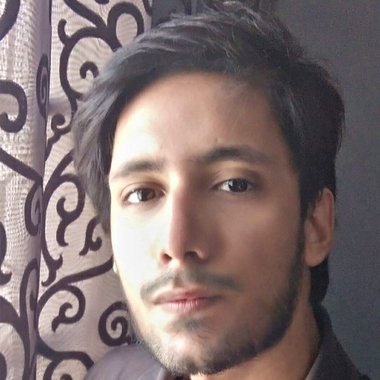 Sheharyar A. - Freelance Logo Designer