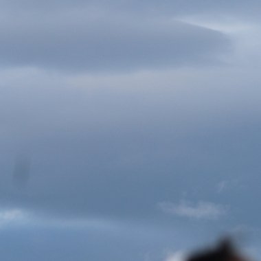 Karthika K. - Freelance Digital Marketer