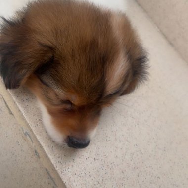 Miniceleb@18 - Freelance 1st Assistant Director