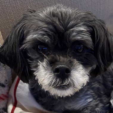 Abby H. - Freelance Co Writer