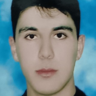 Mehran A. - Freelance Web Developer