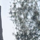 Thanigaivel Chandrasekaran