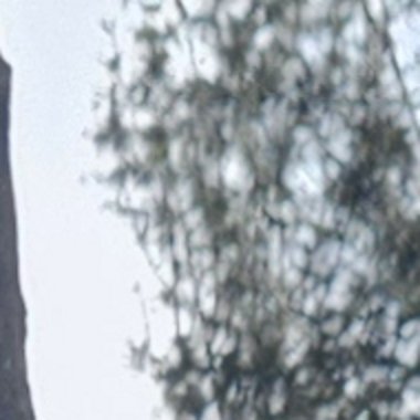 Thanigaivel C. - Freelance Web Developer