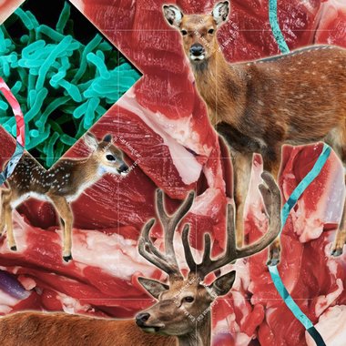 Myrddin W. - Freelance Motion Graphic Designer