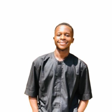 Mansir H. - Freelance Ai Ethics Consultant