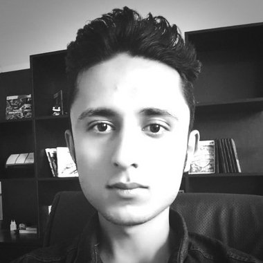 Seyyed H. - Freelance App Developer