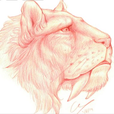 Outer_Saturn - Freelance Brand Designer