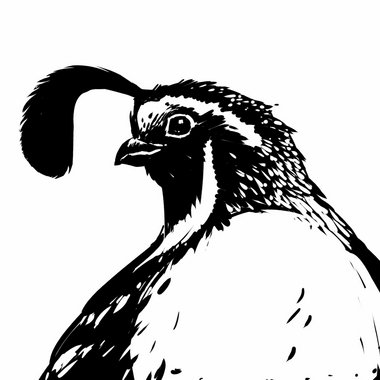 Marina H. - Freelance Graphic Designer