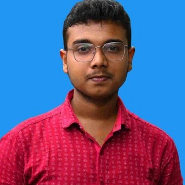 Avik B. - Freelance Web Developer