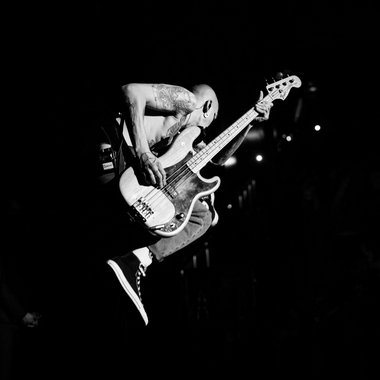 Dim C. - Freelance Bassist