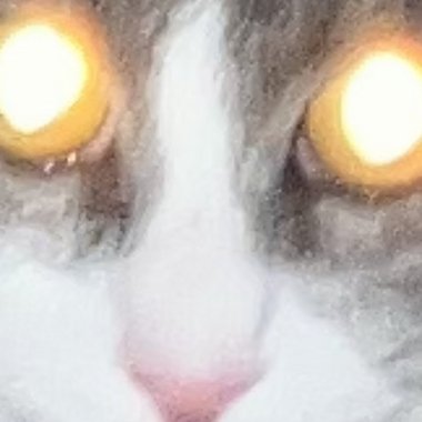 Rishaun B. - Freelance Voiceover Artist