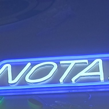 Samantha A. - Freelance Illustrator