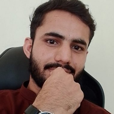 Nauman A. - Freelance Link Building Specialist