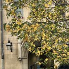 Preyapach Jay Tanathipchaicharoen