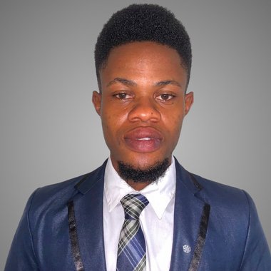 Adeolu A. - Freelance Developer