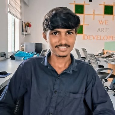 VASRAM S. - Freelance Developer