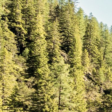 Roman - Freelance Video Editor