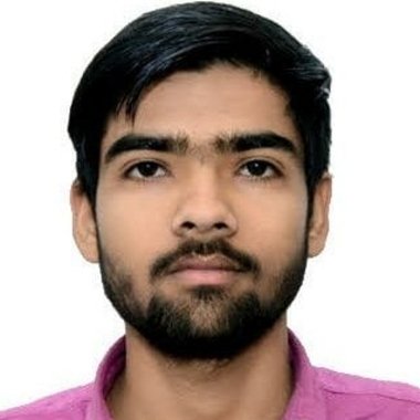 Rahul P. - Freelance Data Annotator