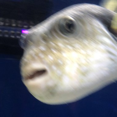 Nicole W. - Freelance 3d Visualizer