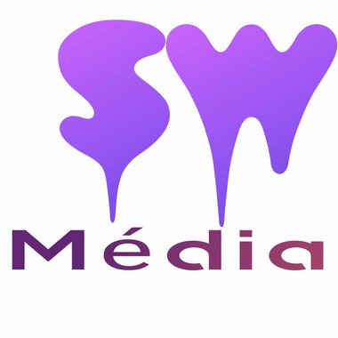 succesweb246296 - Freelance Cms Developer