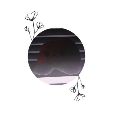 Rohho - Freelance Audio Engineer