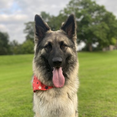 Fiona A. - Freelance Interior Designer