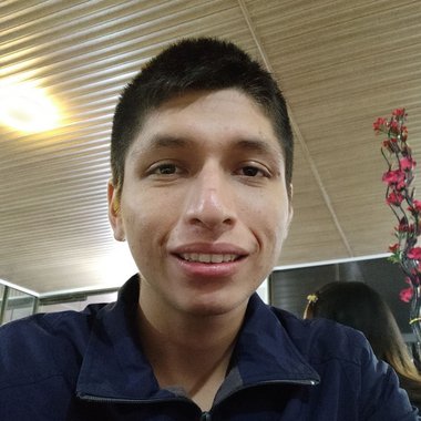 Ronaldo R. - Freelance Database Developer
