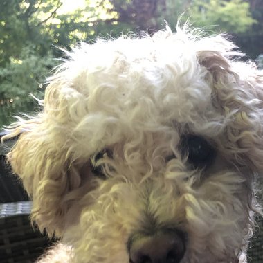 Drew M. - Freelance Music Producer