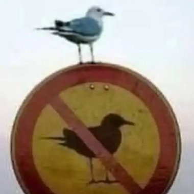 Nathan M. - Freelance Content Creator