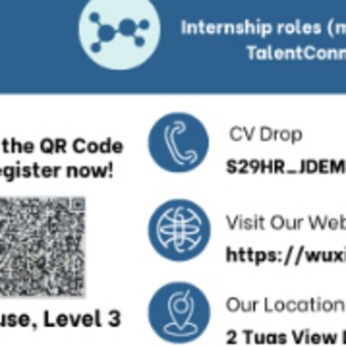 Peng Y. - Freelance Developer