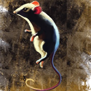 Marta N. - Freelance Illustrator